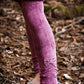 Leggings mit Raffung und Schleife selbernähen